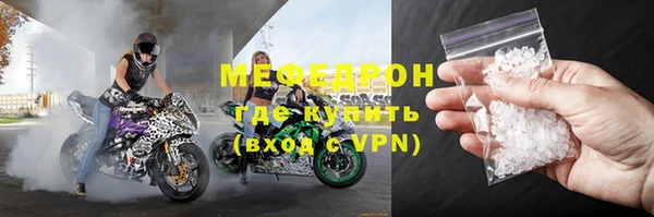 сатива Новозыбков