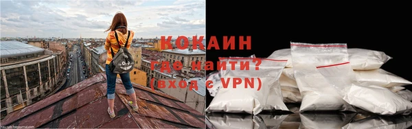 бошки Новодвинск