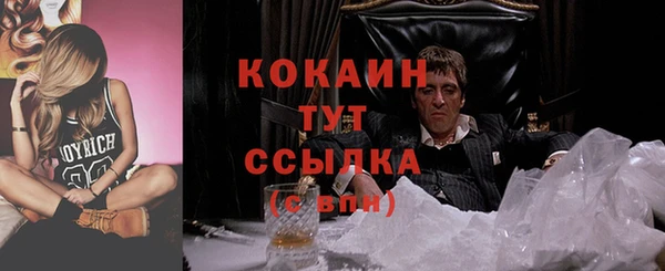 бошки Новодвинск