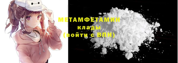 сатива Новозыбков