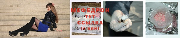 сатива Новозыбков