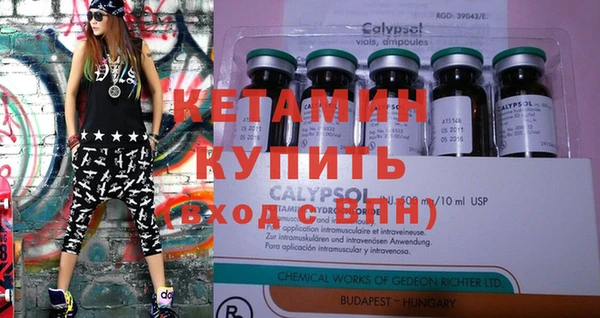 сатива Новозыбков