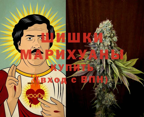 сатива Новозыбков