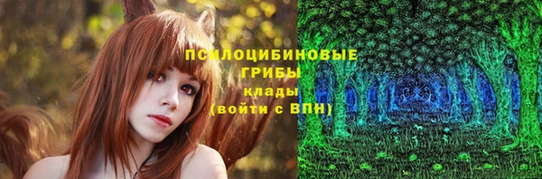 бошки Новодвинск