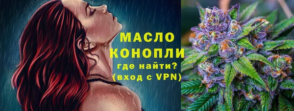 сатива Новозыбков
