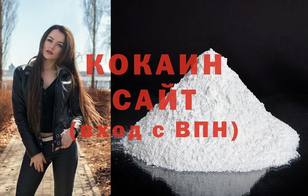 сатива Новозыбков