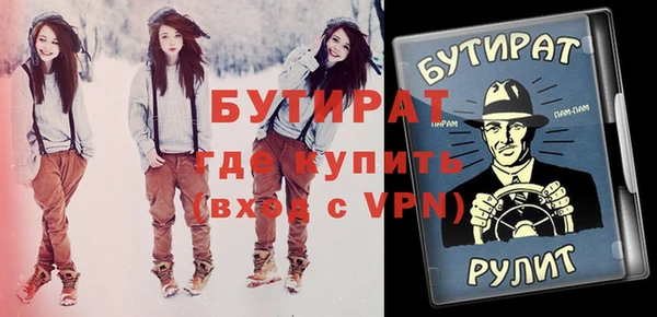 сатива Новозыбков