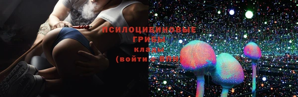 бошки Новодвинск