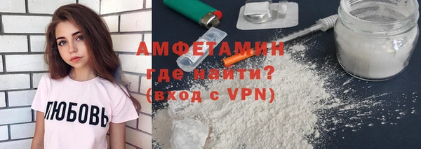 сатива Новозыбков