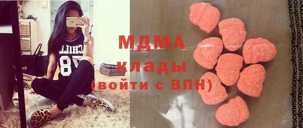 сатива Новозыбков