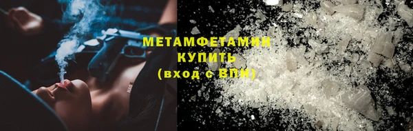 сатива Новозыбков