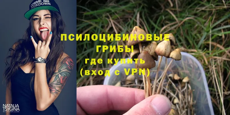 Галлюциногенные грибы MAGIC MUSHROOMS  Нерехта 